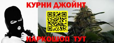 гидропоника Будённовск